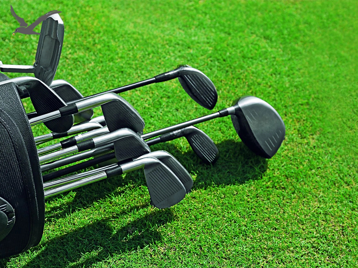 Golf Kulübü Dereceleri Hakkında