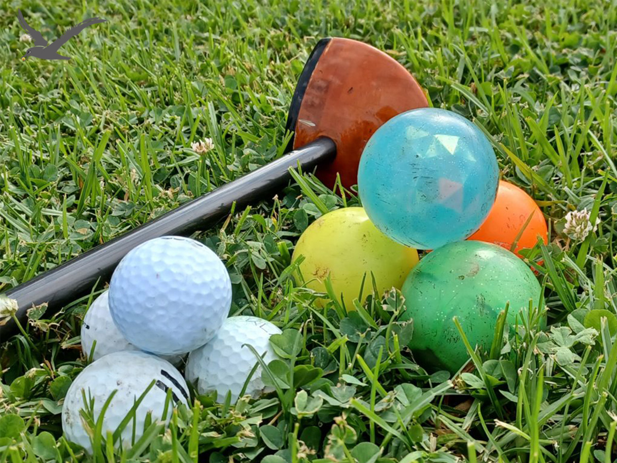 Park golf toplarının çeşitliliği